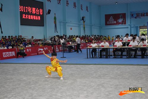 2017年邢台市武术套路锦标赛在平乡县举办