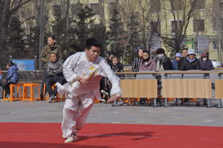 西宁市五一工人文化宫首届 武动中国风.传扬华夏威 武术汇演精彩上演